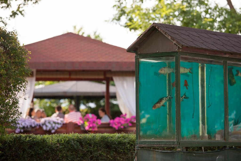 Hotel Bellevue スコピエ エクステリア 写真
